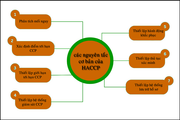 nguyên tắc cơ bản của HACCP